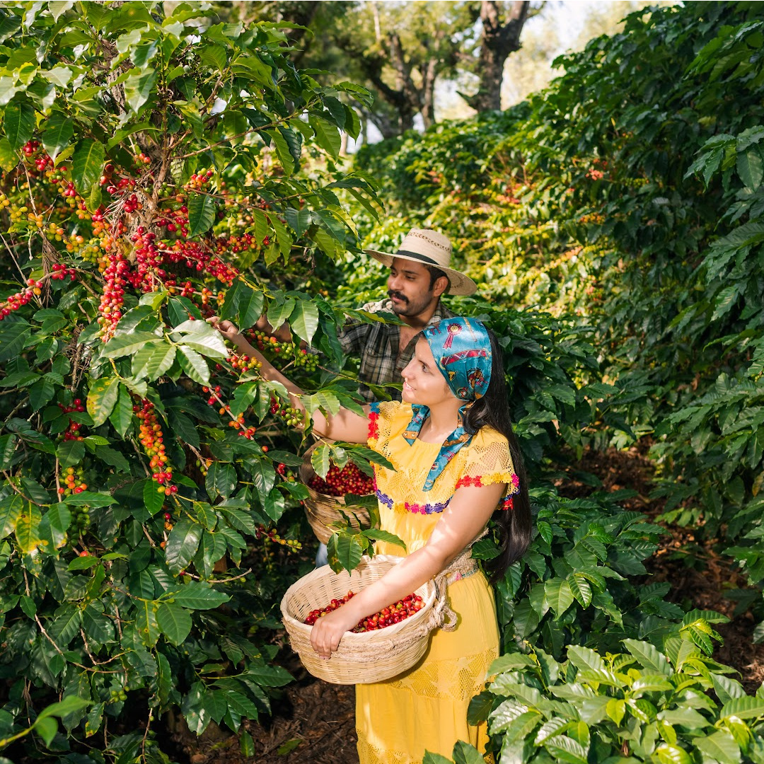 Shutterstock Contributors (@skcontributors) on Twitter photo #SSTKContributorOTW, <a href="/salmonnegroo/">Mario Guerra</a>, aims to remove the stigma associated with Guatemalan society by showcasing authentic communities and traditions.
shutr.bz/3TS6ykB #SSTKContributorOTW, <a href="/salmonnegroo/">Mario Guerra</a>, aims to remove the stigma associated with Guatemalan society by showcasing authentic communities and traditions.
shutr.bz/3TS6ykB