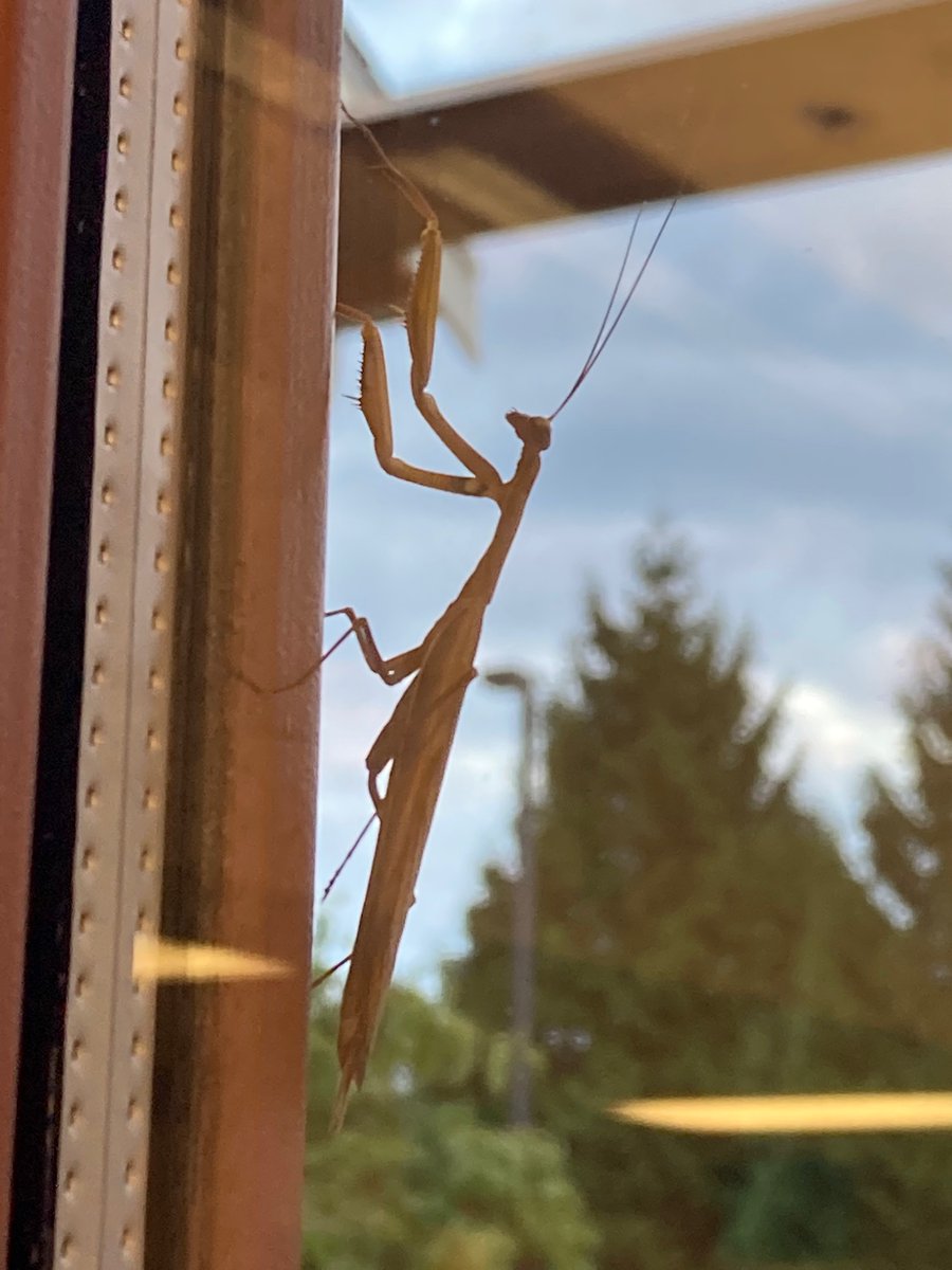 We had a visitor to HBHS this morning