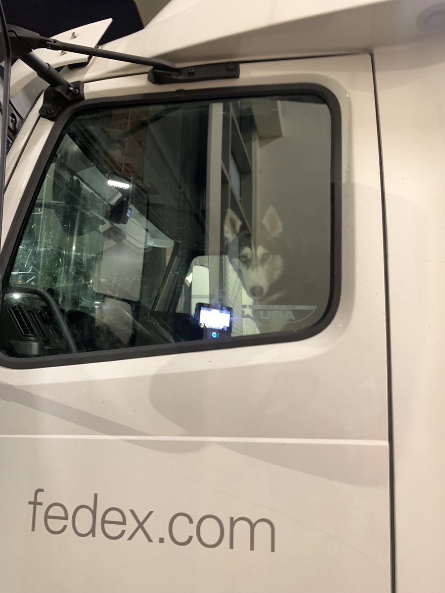 They be letting anyone drive nowadays