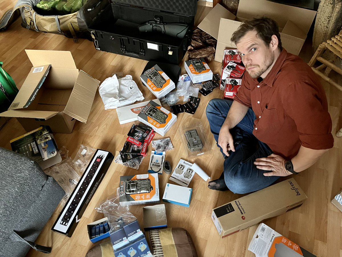 Berenika Mioduszewska tweet media