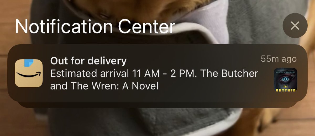 _starwalker's tweet image. glorious, sucks I'm at work until 8 😭
@AlainaToTheMax @AMorbidPodcast