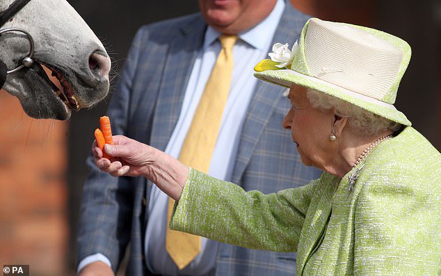 Aww. Love this photo. My first “royal” job as chef to The Queen was peeling carrots for her horse ☺️