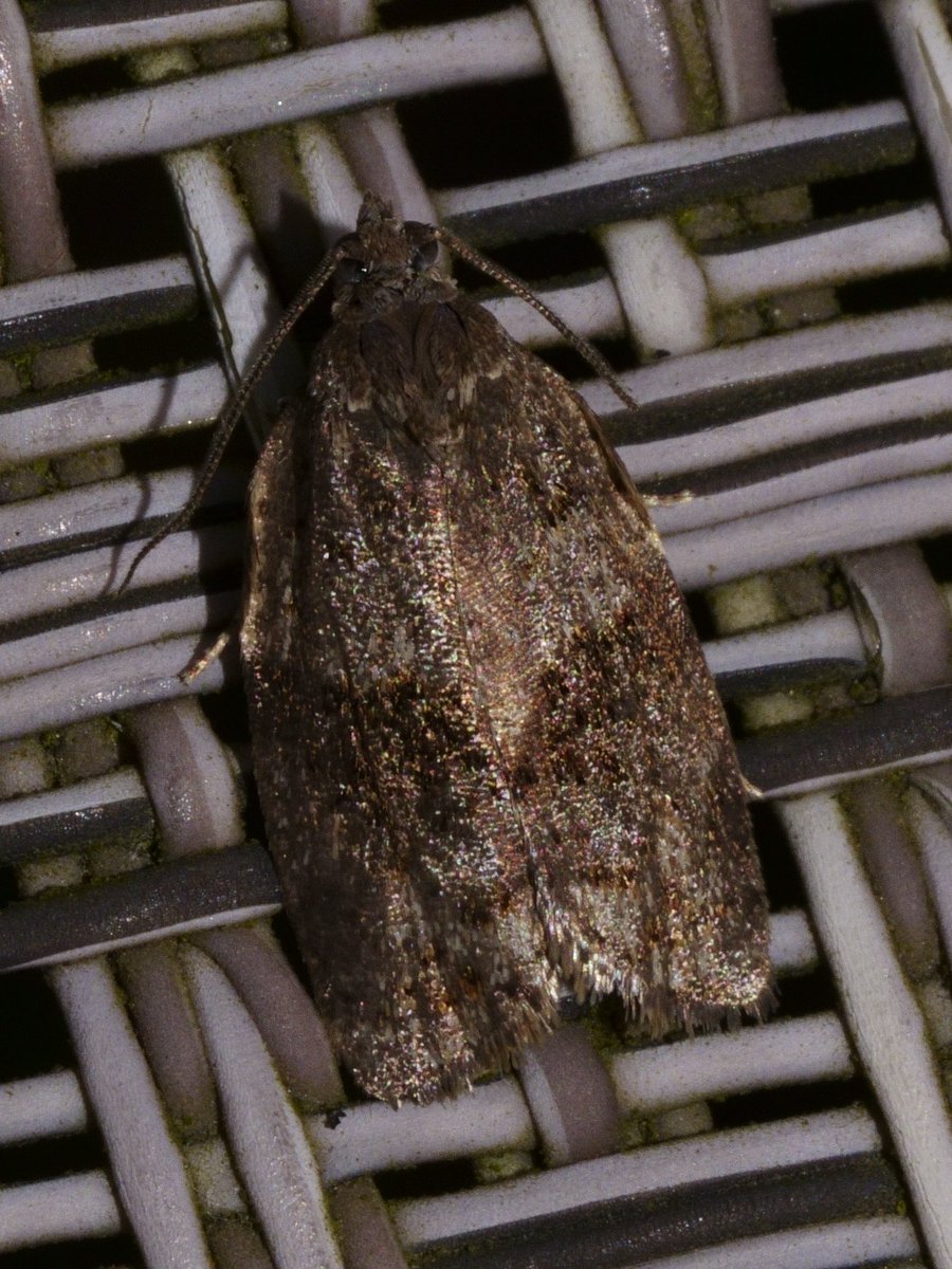 Peter Hendry tweet media