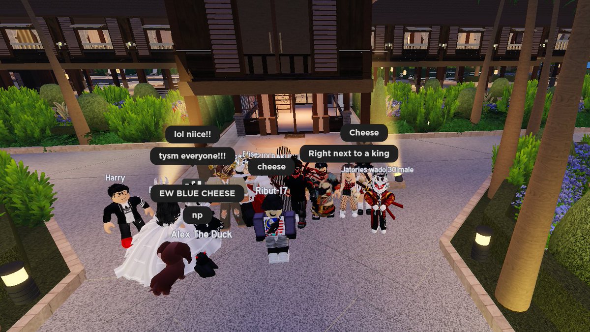 Daisy 🦭 tag in gws tweet media