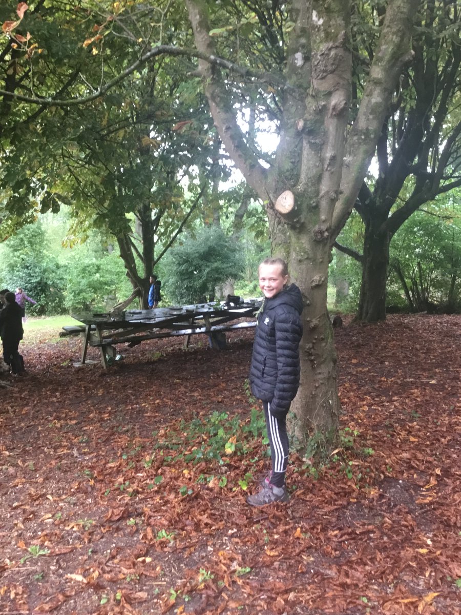StPetersYearSix's tweet photo. Fun in the forest! #fireandsmores https://t.co/zZyGPe0B56