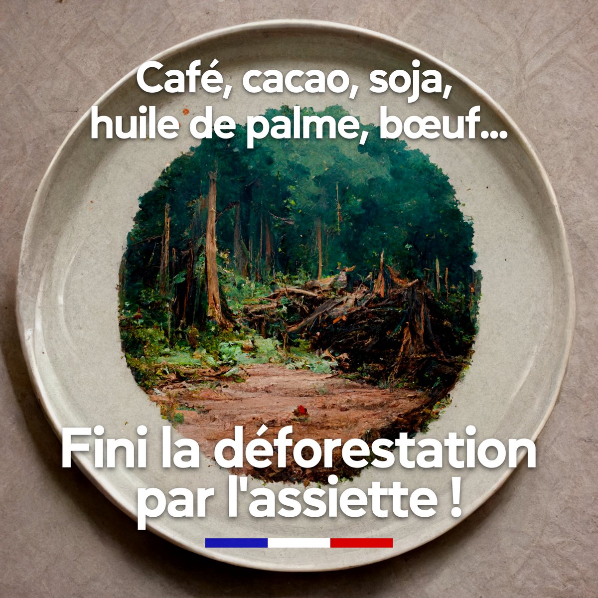 BCouillard33's tweet photo. Le Parlement 🇪🇺 vient de voter l’interdiction d’importer dans l’UE tous les produits issus de la déforestation ! 
Fini le café, le cacao, le soja, l'huile de palme, le bois ou le bœuf issus de la destruction de la forêt.

C'est une immense victoire pour la 🌍 et sa biodiversité ! https://t.co/eGlRhvq9Ep