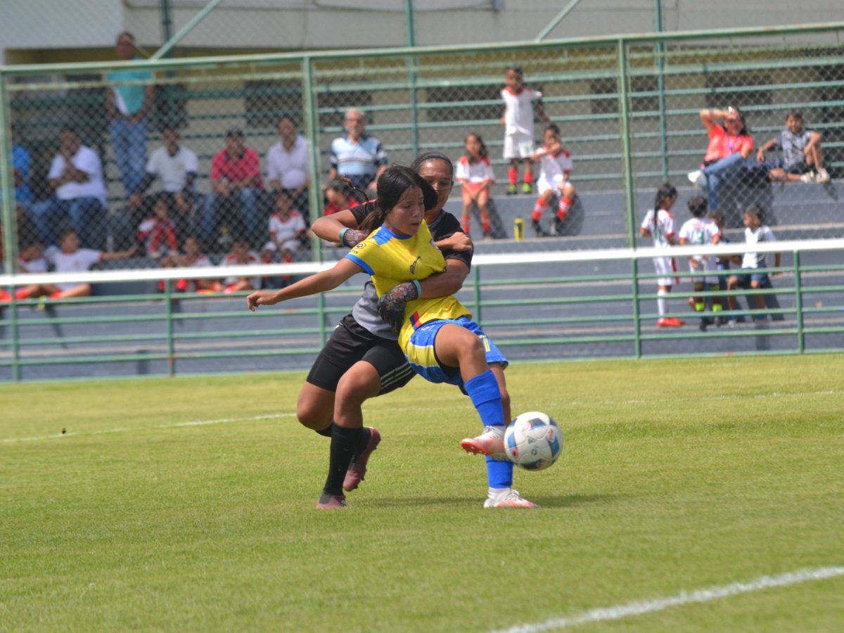 el_carabobeno's tweet photo. Final del Futve femenino será dirigida por dos mujeres https://t.co/OkobDUkqSF https://t.co/348I6UMd8G