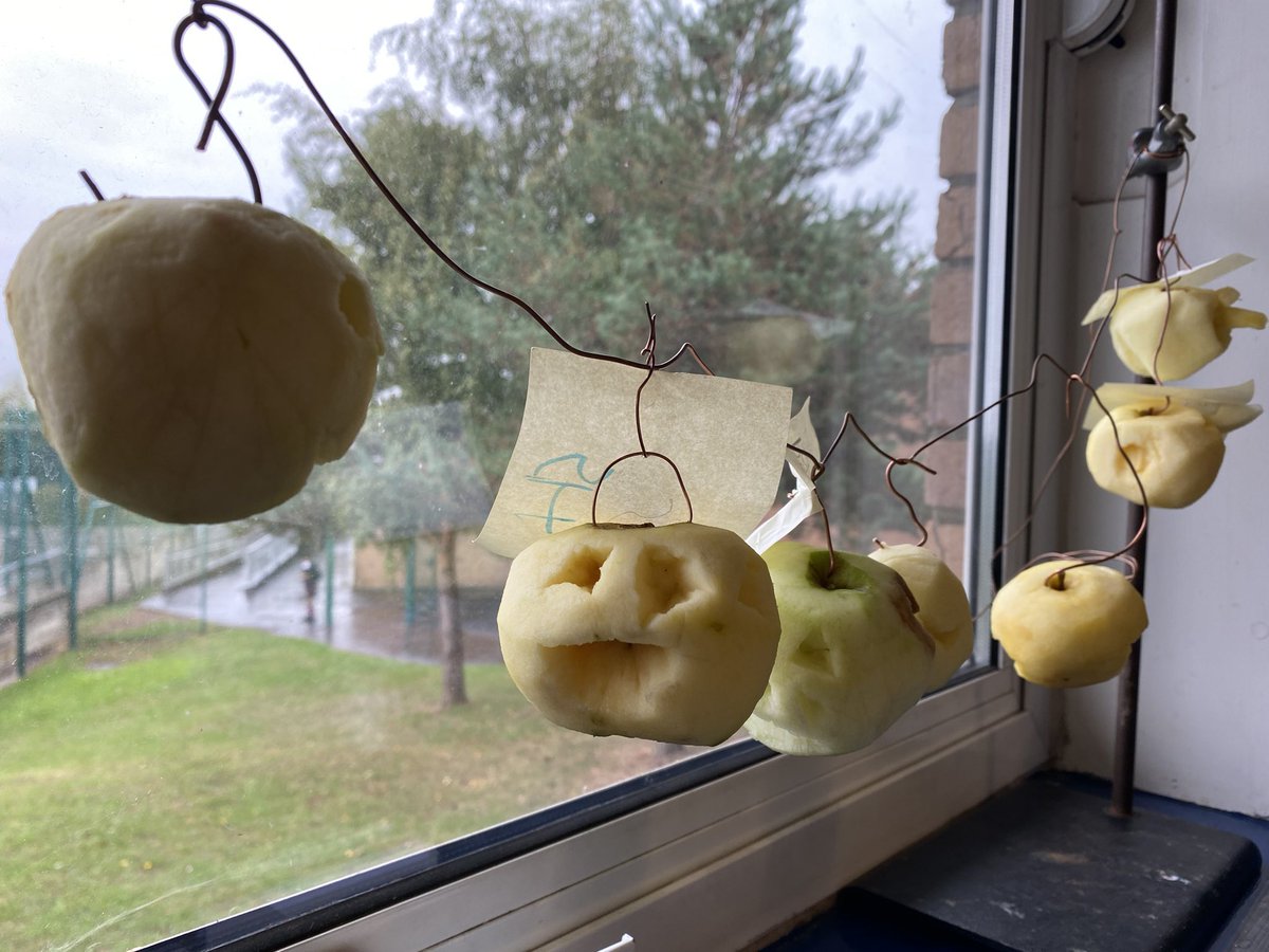DownendScience's tweet photo. @dgs_science Thanks for the idea. Science club had a go today. Lots of fun. https://t.co/Mk6DWTveyS