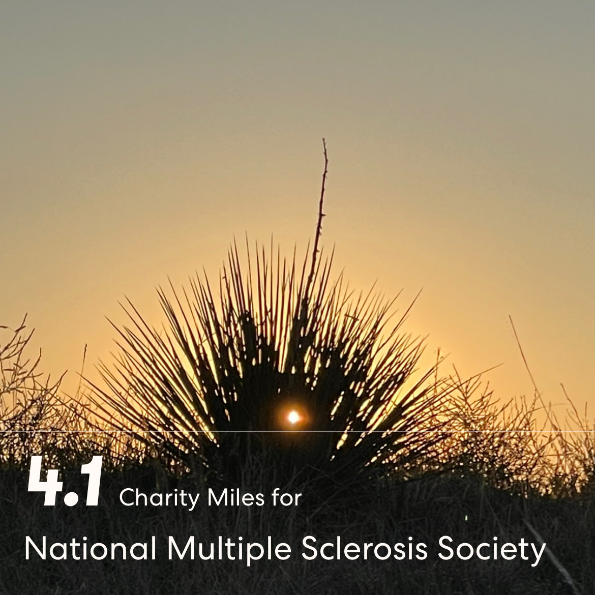 MpPierce's tweet photo. Today’s @CharityMiles were a little chilly until the sun came up. Learned some things from @ExtremeGenes and @RealTalkMS_jon along the way.
#ChallengeWalk #JustKeepWalking #CrushMS #FindACure #MS https://t.co/f2uF2oxlI3