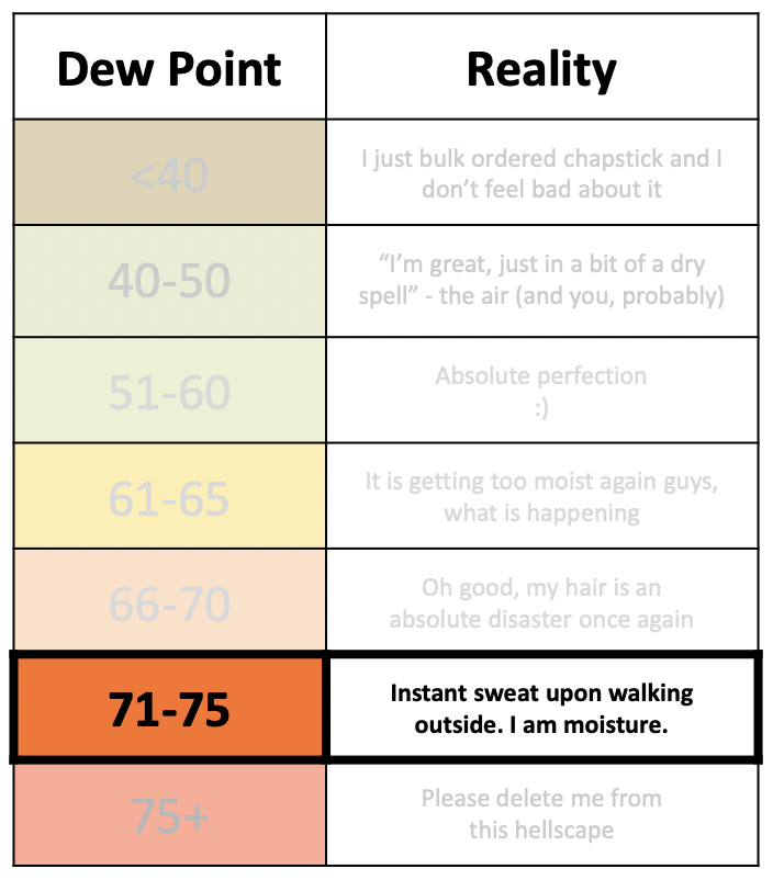 nymetrowx's tweet photo. Realistic dew point chart has been updated as of this morning. It's a rough scene out there. https://t.co/p7gHYg7A6k