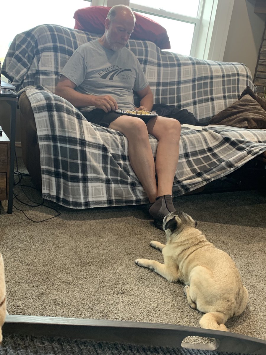 scheanit's tweet image. Bogey is NOT taking her eyes off Daddy &amp;amp; his breakfast!