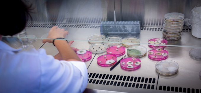 COIAL's tweet photo. 🟩 @valgenetics es nombrado laboratorio designado para análisis fitosanitarios por #SanidadVegetal
🔬 Nuestro partner ha sido reconocido para realizar análisis de organismos presentes y de cuarentena para la #exportación de #materialvegetal.
https://t.co/WJ1idVC018 https://t.co/MDf4v0ftke