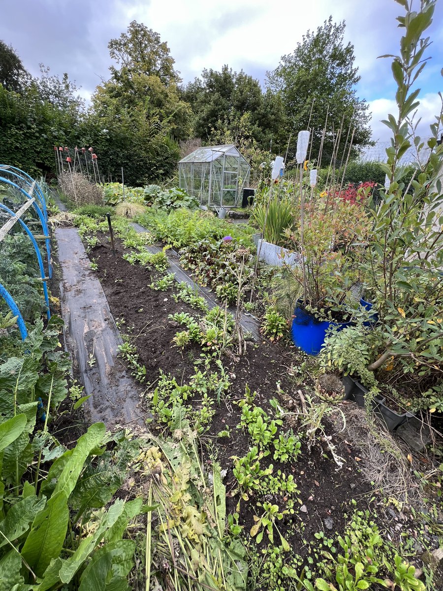 SeamasBelfast's tweet photo. Earlier today I met with the tenant’s committee at Annadale allotments. Back in 2020 when SDLP and I proposed an Urban Farm for Belfast I talked about how the waiting list for plots here was 14 years long. Happy to work cross-party with @AntoFlynnser to push for change. https://t.co/4PVkJRaD53