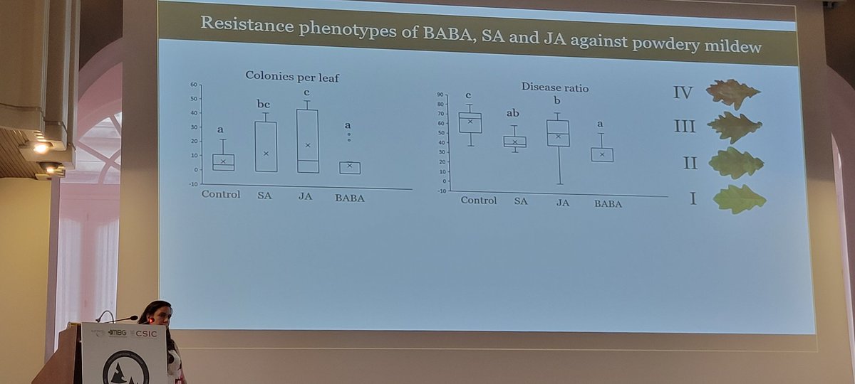 Rosa Sanchez-Lucas strikes back at @7GTPI2022 ! #oak seedling #priming with #phytohormones