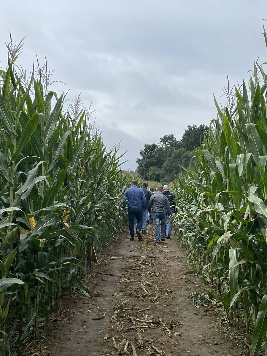MSUMann's tweet image. Great weather for a plot day! Excited to work with retail partners to explore the entire Bayer portfolio for their growers. @DKCAS_MI @Asgrow_DEKALB @BayerCropProUS #Bayer4MI #WinningHasRoots