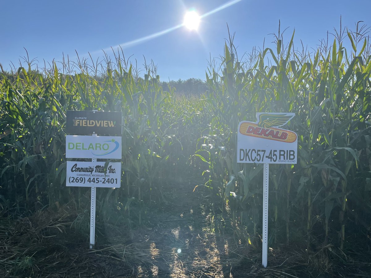 MSUMann's tweet image. Great weather for a plot day! Excited to work with retail partners to explore the entire Bayer portfolio for their growers. @DKCAS_MI @Asgrow_DEKALB @BayerCropProUS #Bayer4MI #WinningHasRoots