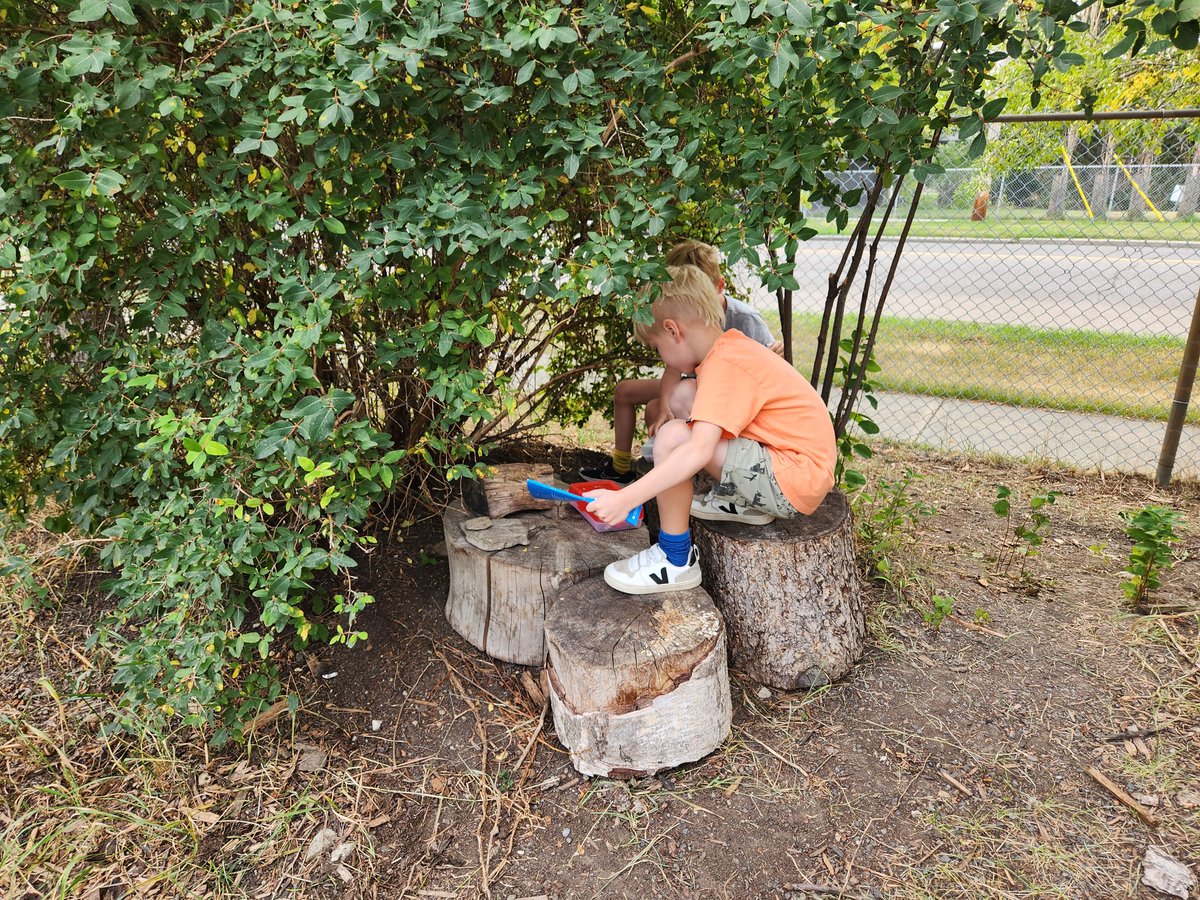 12ElbowPark's tweet photo. We went exploring for natural patterns and made some of our own. Can you make some patterns in your backyard?
"It has to repeat 3 times."
"Some patterns can grow!"
@ElbowParkSchool https://t.co/p7hrv5Jsls