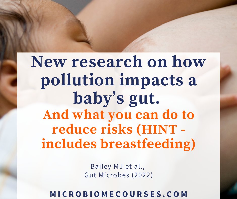 Toni Harman tweet media