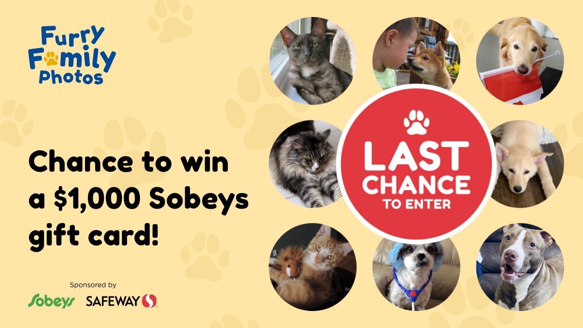 Last call! Our Furry Family Photos contest closes September 15th. Submit a photo of your pet for a chance to win a $1,000 Sobeys & Safeway gift card. furryfamilyphotos.petownerscanada.com/?utm_content=s…