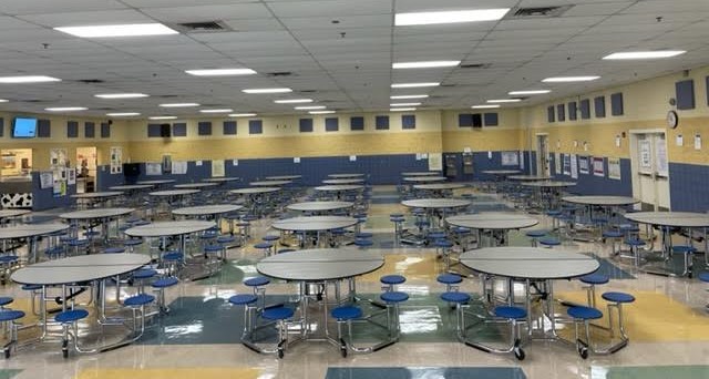 The Knowledge Tree tweet media