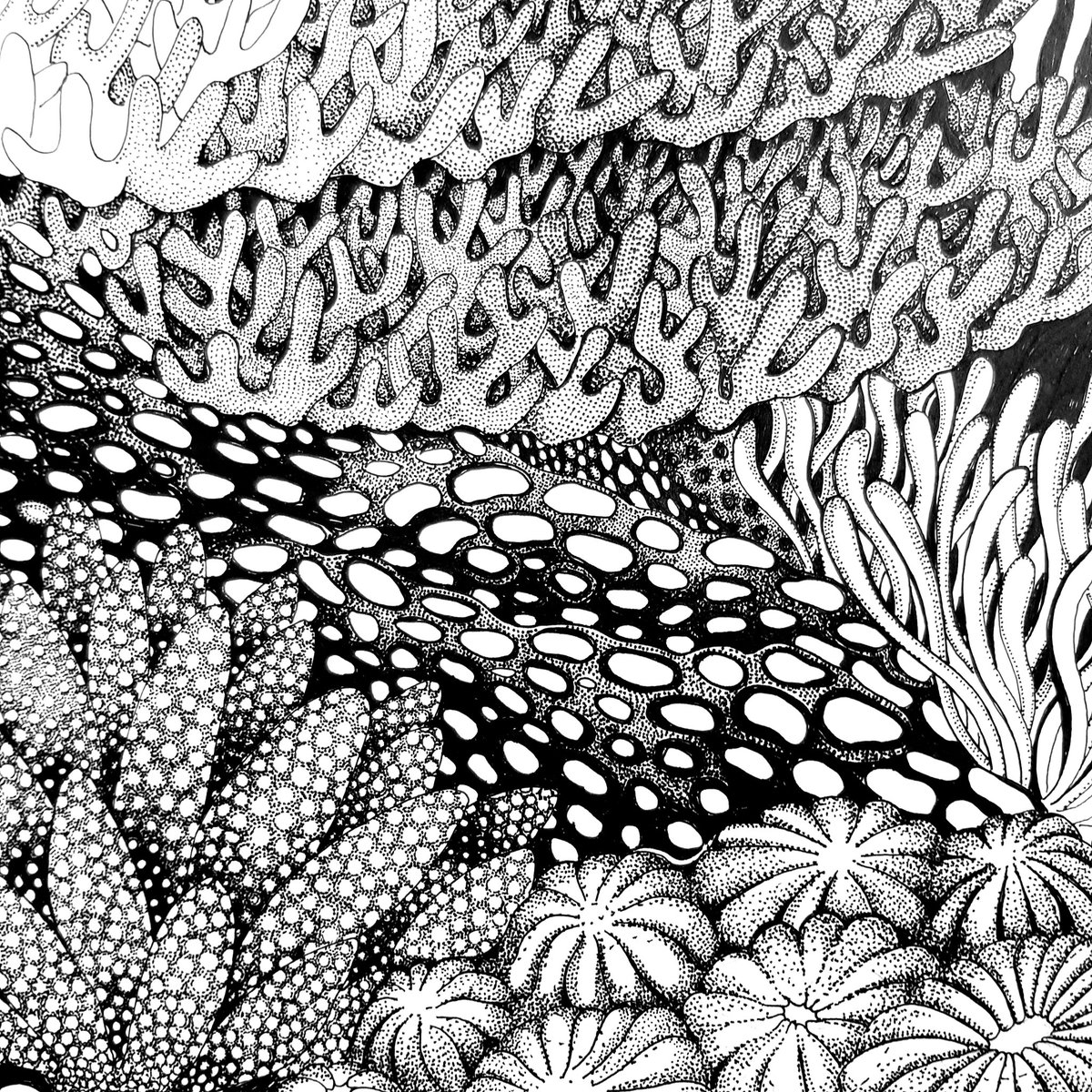 Little part of the coral reef drawing that I am (still) working on ! 
.
#coralreefdrawing #coralreefenthusiast #marinelife #oceanart #sciart #scicomm #ecology #wildlifeart #acropora #pointillism #wipart