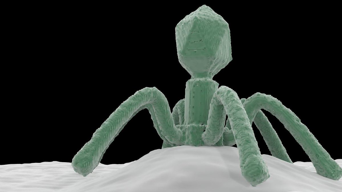 TuChFi22's tweet photo. モデリングしたくなる形をしているT4 Phage。ボクセロイドで表面荒らしてます。メタセコ4パストレ(平行光源+環境マップ)。トゥーンの輪郭線は後から重ねています。
#Metasequoia #3DCG #科学イラスト #Science_illustration #Photoshop #T4Phage https://t.co/5p1c1zk9ZM