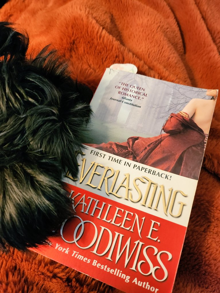 dreathebookworm's tweet photo. A little historical romance never hurt anybody. #romancebooks #BookTwitter #book https://t.co/sH3PnmwzuT