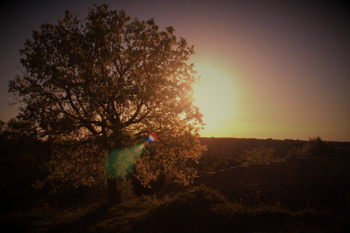 Quand les mots te manquent face à la beauté de la nature... face à l'amour du soleil pour la lune... face à la dévotion de la lune pour le soleil ...
#thicktrunktuesday #nature #landscape #sunset #photography