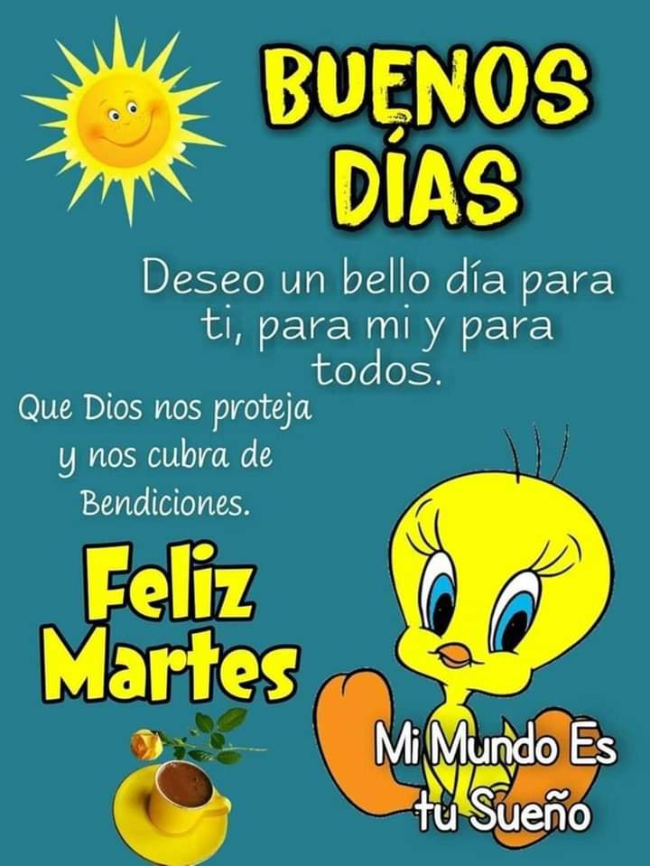 Bertha Vigi (@berthavigi) on Twitter photo 