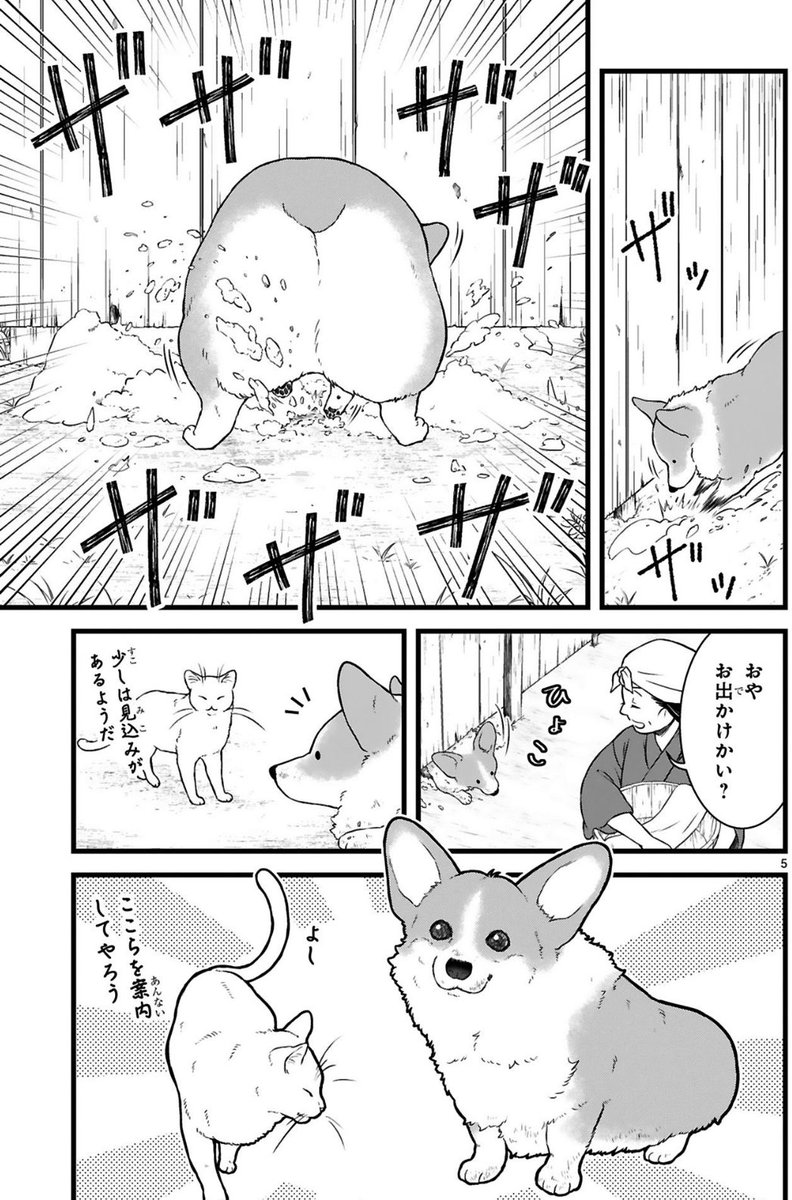 (2/2)