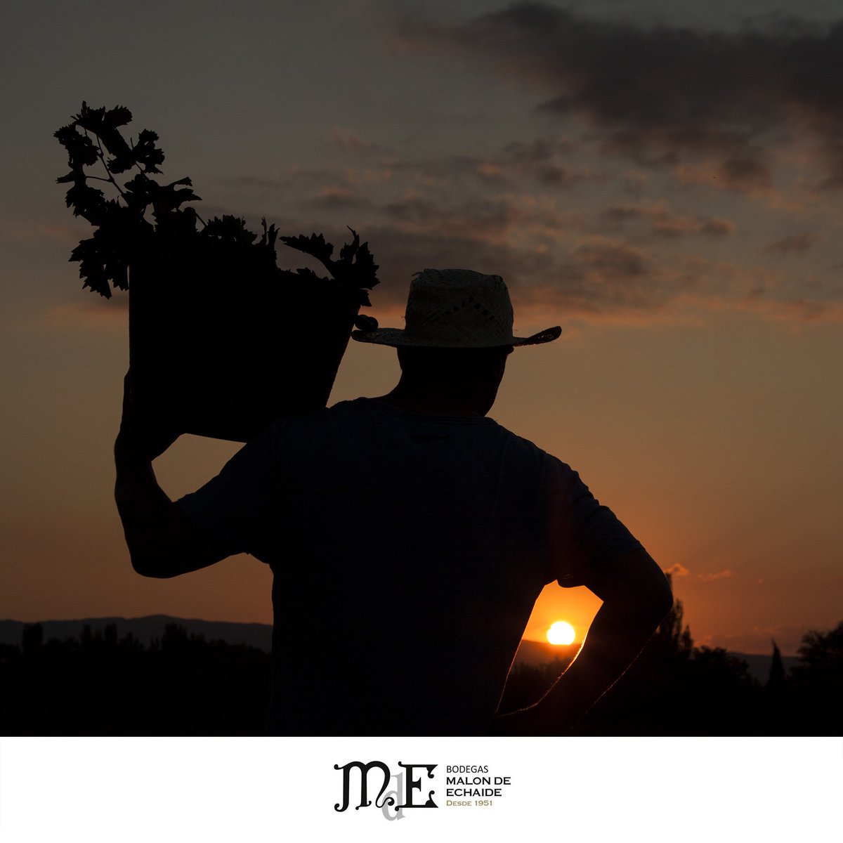 ¡Seguimos en tiempo de #vendimia! Esta imagen es una de las finalistas de una edición pasada de FOTOVINO, nuestro certamen fotográfico anual. Pronto lanzaremos las bases y abriremos la participación... ¡Preparad vuestras imágenes y cámaras! 😉📸

→ malondeechaide.com