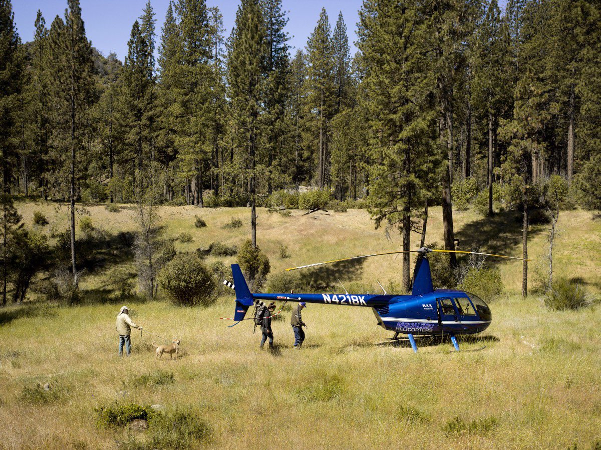 RadarSCM's tweet photo. Getting ready to head back into these mountains in the next several weeks. Between childhood and my mid 20’s I spent over 18 cumulative months in this backcountry. As a Mom, reclaiming this part of my identity is essential. #MissingPerson #LosPadres #VentanaWilderness https://t.co/vavEIKKc8m