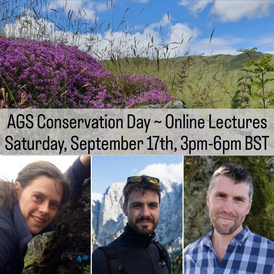 Watts_SH's tweet photo. I'll be giving a lecture during the @AlpineGardenSoc Conservation Day this Saturday 17th from 15:00-18:00.

"Riding the elevator to extinction – #ClimateChange and the #arctic-#alpine plants of Ben Lawers"

Tickets here: https://t.co/vvcizkEPGU, with @tfreeth @leeinthelakes https://t.co/5f6iT63Gdy