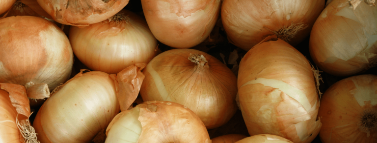 Groen Agro Control kan tot en met 25 maart 2025 onder registratienummer: Lab. reg. No. 02/NLD/2022 analyses op export uien voor Indonesië uitvoeren. 
De ambassade heeft aangegeven dat wij voor residuen van pesticiden, zware metalen, mycotoxinen en micro analyses zijn erkend.