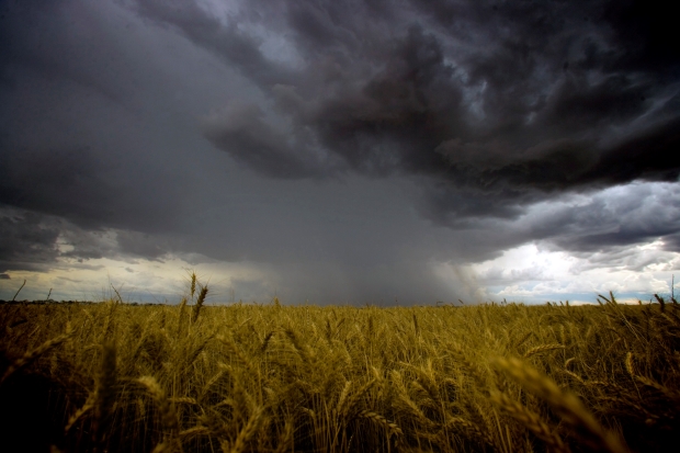 Hillridge tweet media