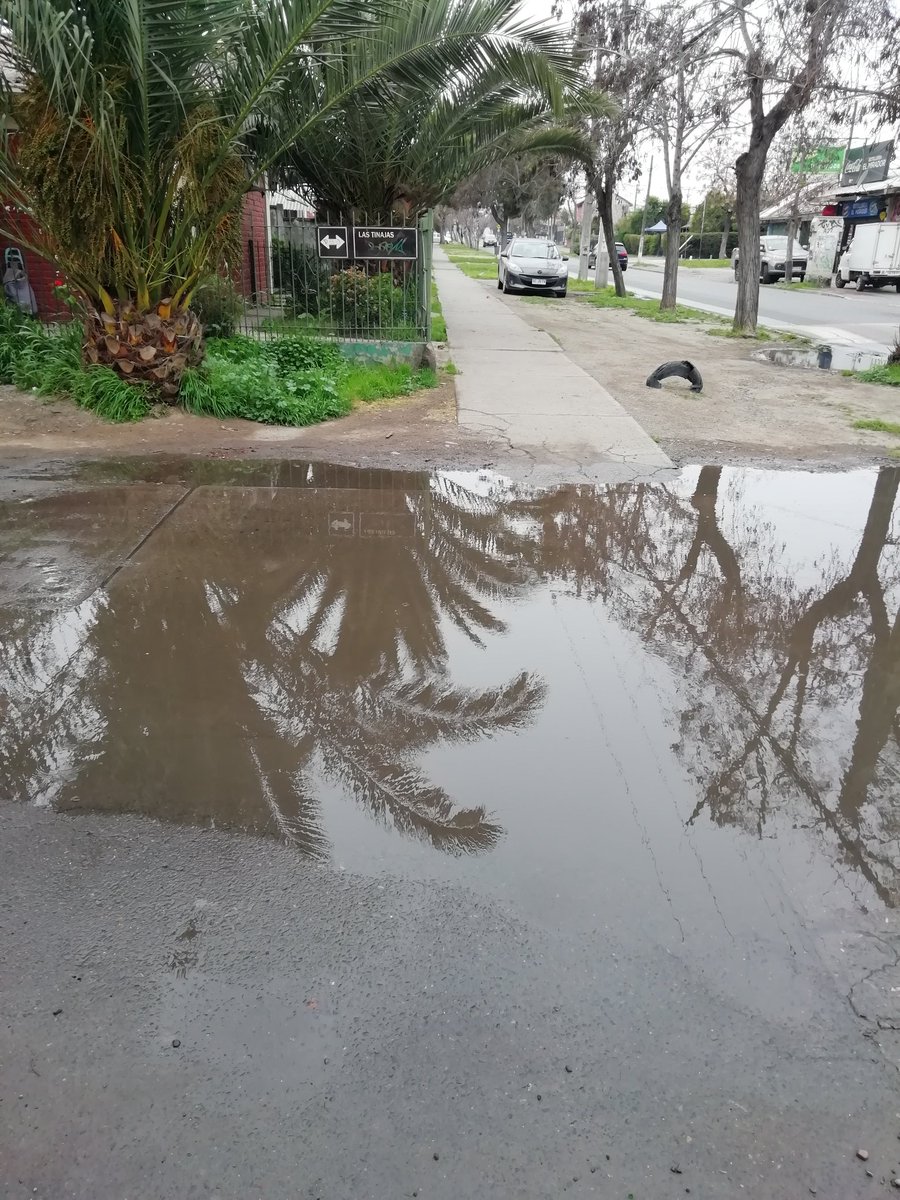 Cdl_Orione's tweet photo. Señores @SISS_CHILE solicitamos su ayuda URGENTE, llevamos meses con aguas servidas en nuestras calles. Tanto @Reclamos_SMAPA como @MuniCerrillos están al tanto, pero no hemos tenido SOLUCIÓN, sólo parches. Callé El Mirador comuna de Cerrillos. NO ES NORMAL!! https://t.co/MTS42ton33