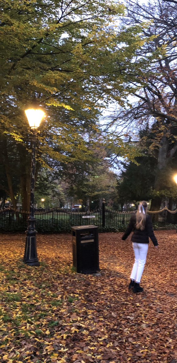 Naattaliaw's tweet photo. otoño en Leicester🤎 https://t.co/8TUc8lAF2A