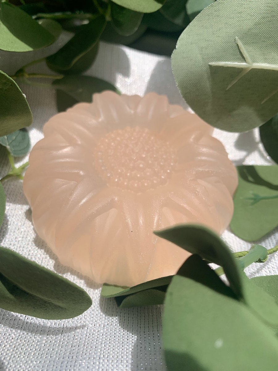 One of our top selling soaps! Introducing Aloe Vera Soap! #Bestseller