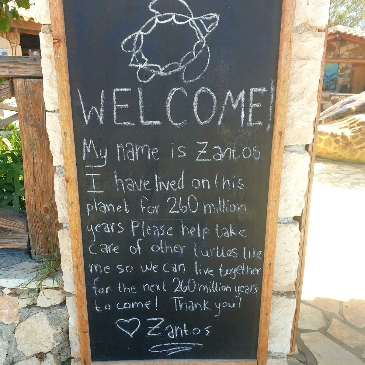 thenamelessmuse's tweet photo. Help save Zantos and all the other Sea Turtles. Visit #Zakynthos but remember you are just a visitor, it belongs to the Turtles! Be polite, don't pollute! #earthseasand #zanteturtlecentre 🐢❤ https://t.co/5YOhhcbmSa