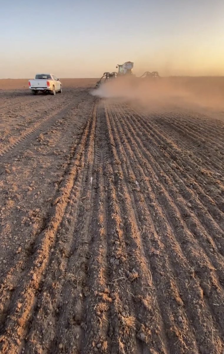 🇵🇾🌾🌿 Planting of Rice and Soybean began #farming #SouthAmerica #rice ##soybean