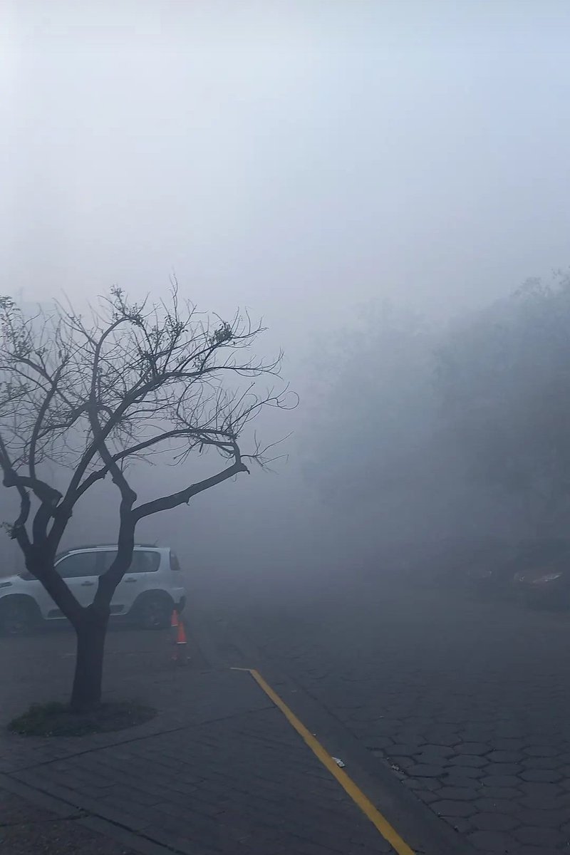OjoPrensa's tweet photo. 😷🌫 #Rosario || Otro día irrespirable en la ciudad. El humo proveniente del ecocidio en las islas contamina nuestro aire. ¿Nadie se hace cargo? 🤧 https://t.co/ao9pLRRJlF