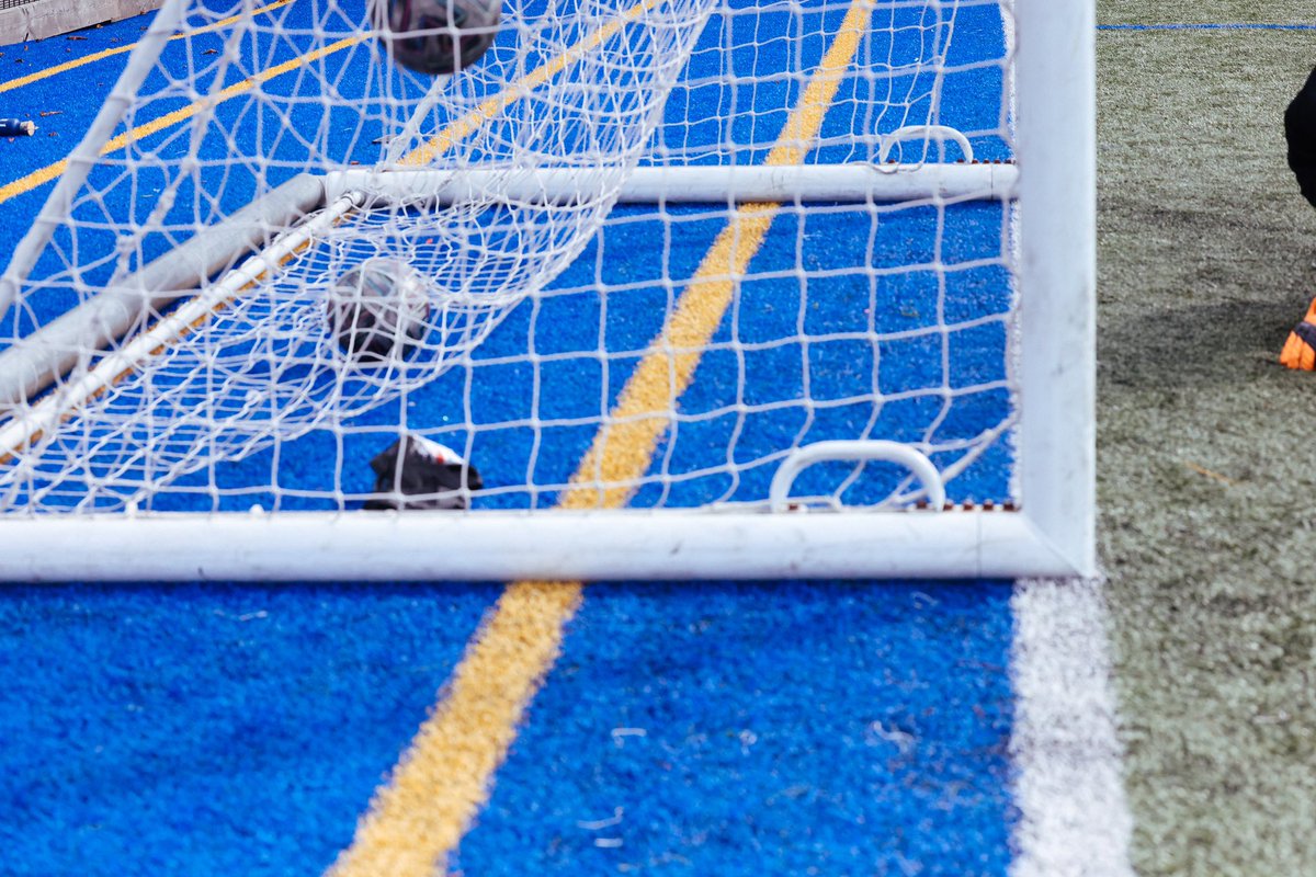 𝘾𝙊𝘼𝙏𝙎 & 𝙂𝙊𝘼𝙇𝙋𝙊𝙎𝙏𝙎 tweet media