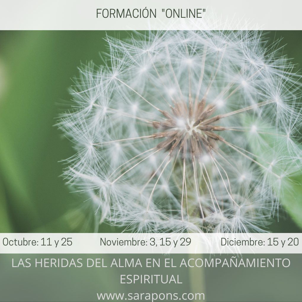 Sara Pons tweet media