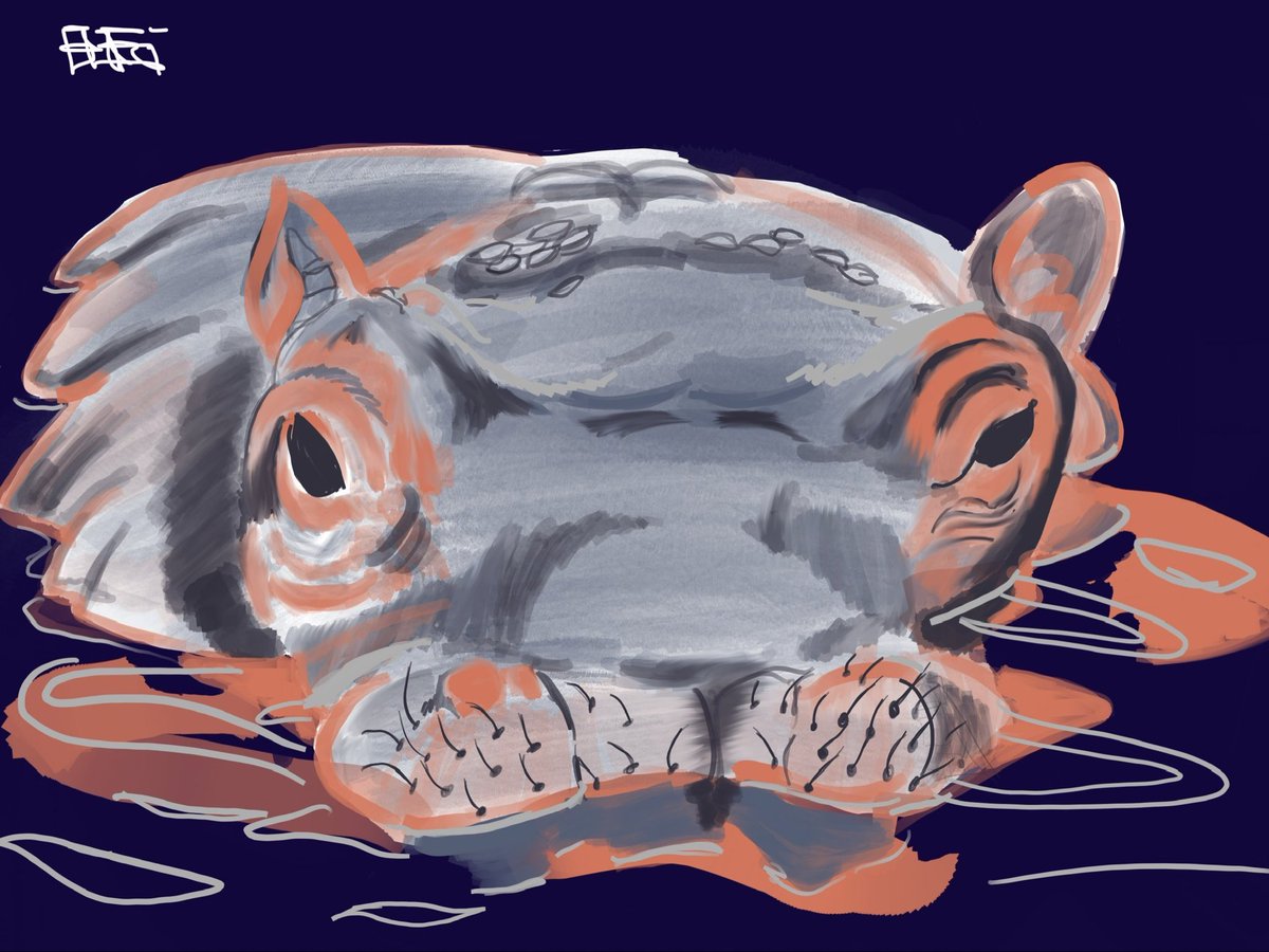 donwangugi's tweet image. In the cut