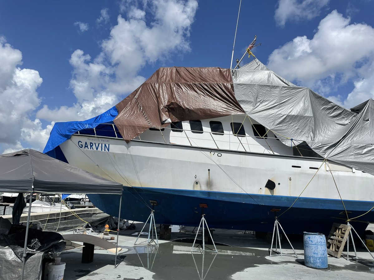 Field School tweet media