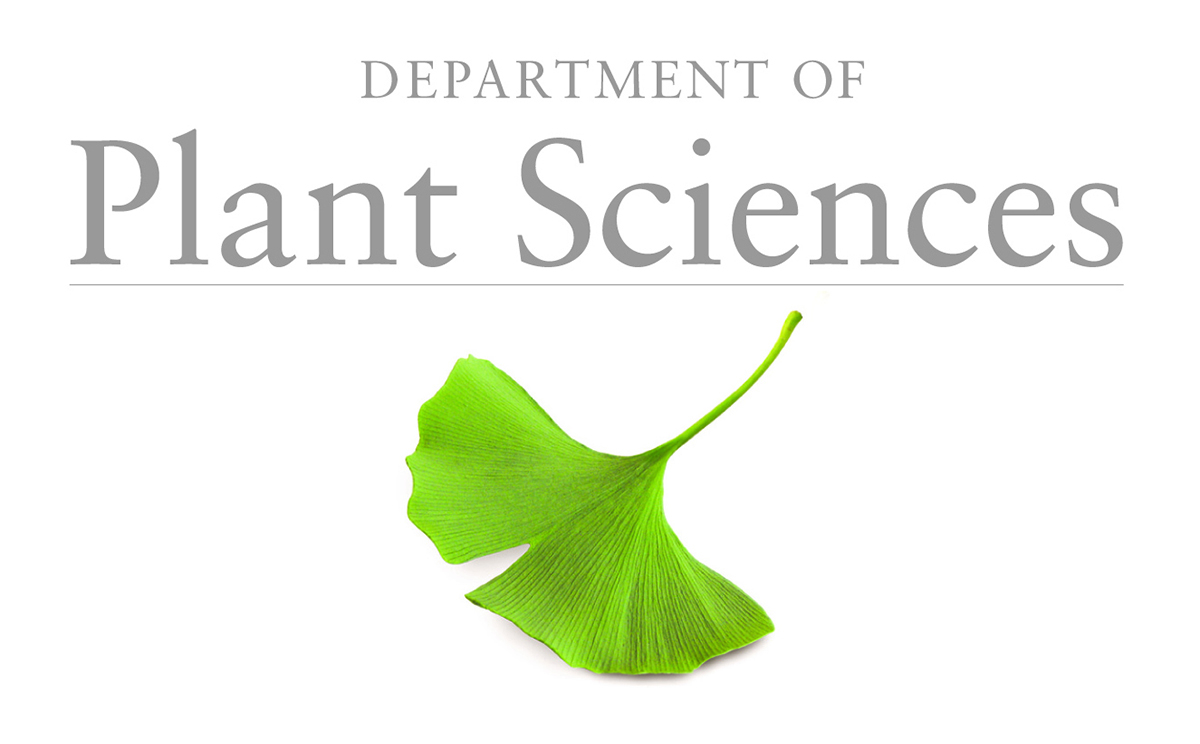 New Job Opportunities - We've just released calls for candidates for five positions in the Plant Sciences department - including exciting roles at <a href="/EngBioIRC/">EngBio IRC</a> and <a href="/CropSciCentre/">Crop Science Centre</a> and a new departmental IT manager. See them all here 👉 jobs.cam.ac.uk/job/?unit=u002…
