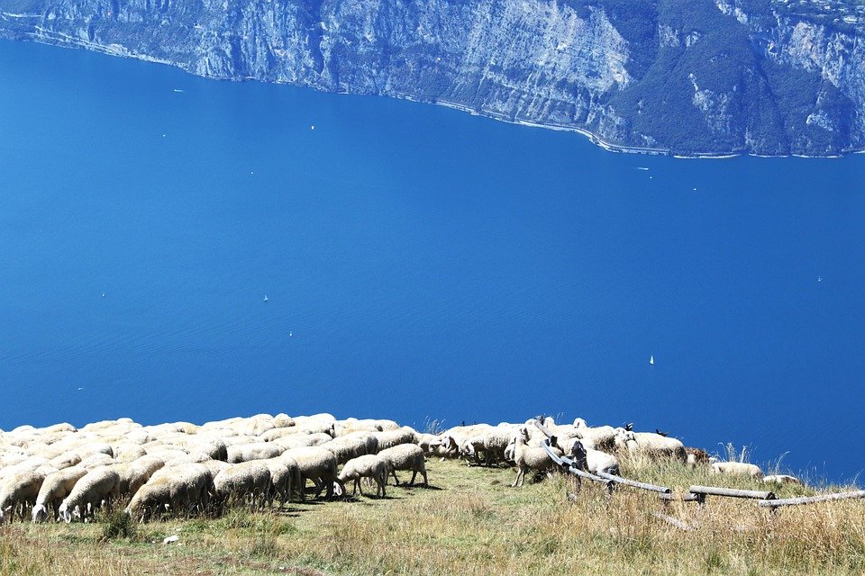 arslongav's tweet photo. Monte Baldo 🇮🇹 https://t.co/RTps3AxPwf