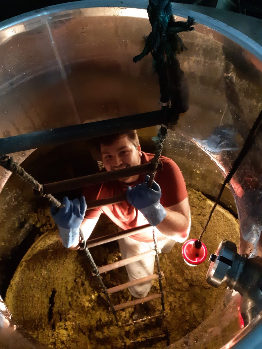 hnwines's tweet photo. Hallgarten's HeadStart #Apprentice, Alex, has been busy in #Bordeaux lending a hand at @EstelleRoumage, helping to create the 2022 vintage! 🍇🍷 https://t.co/cR7KmbRZOb