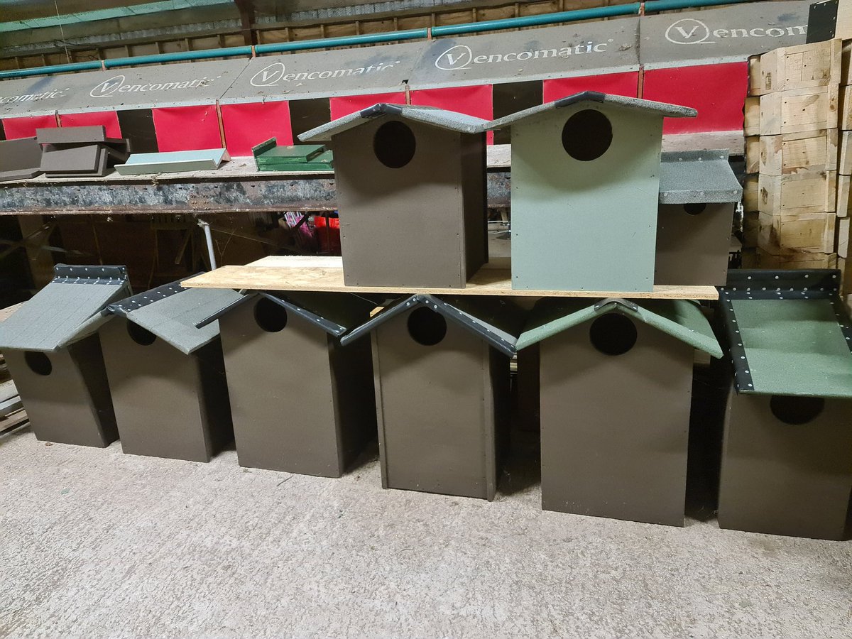 Looking for a few volunteers to help out with my conservation project this autumn. I have hundreds of nest boxes to clean out and rebuild or replace. I am hoping to erect another 10 Barn Owl, 15 Little Owl, 10 Tawny Owl, 50 Dormice and another 200 tit boxes.