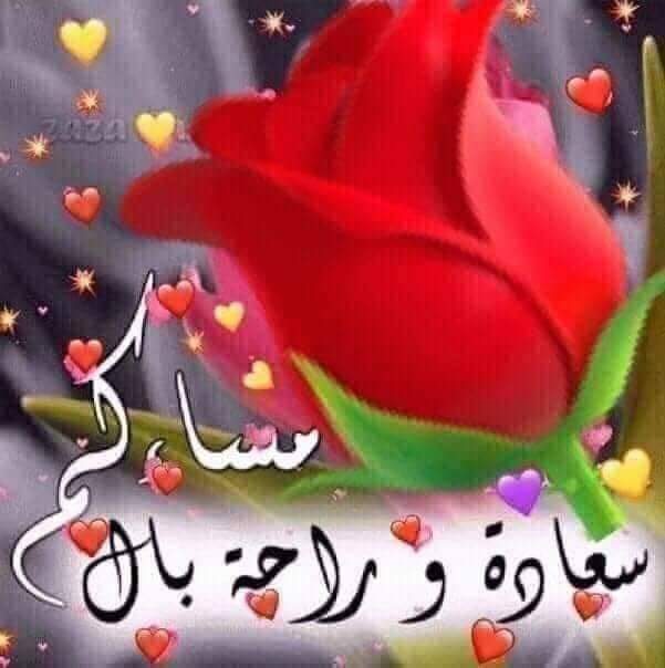 RamadanGreby's tweet photo. @RaniaJalal0 https://t.co/FGebIJfeWJ